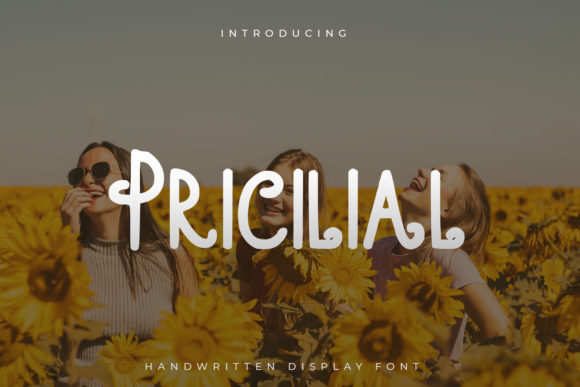 How Pricilial Boosted My Campaign’s Visual Impact