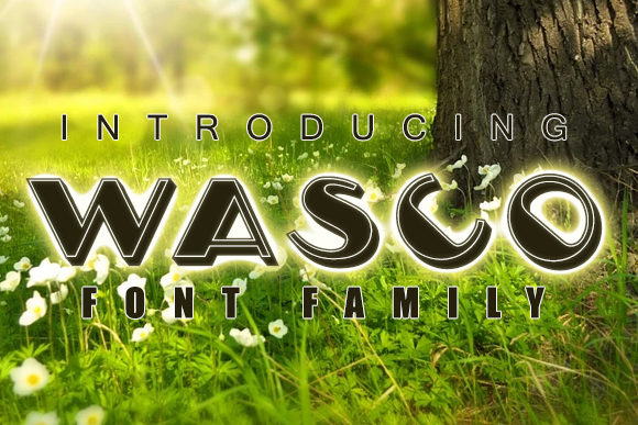 Wasco: A Fun and Casual Display Font for Digital Design